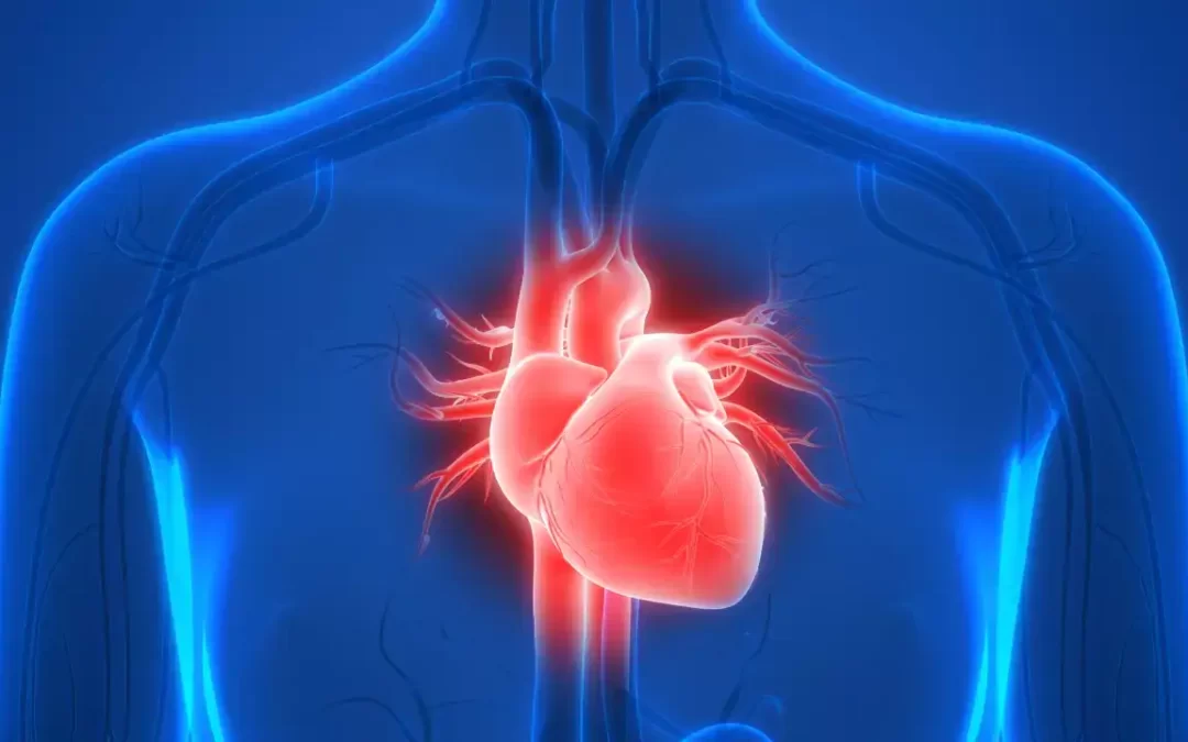 4 things a cardiac surgeon avoids to keep the heart healthy
