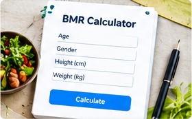 BMR and TDEE calculator